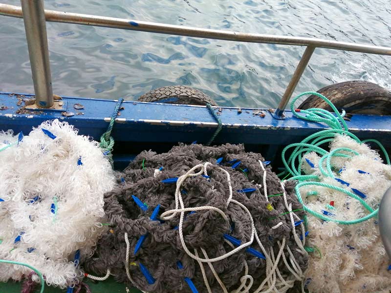 Trasmallo ORIGINAL Para Pesca Abundante En Mar Y Ríos REDES DE