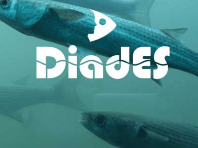 cabecera-web-ws-diades ws-diades