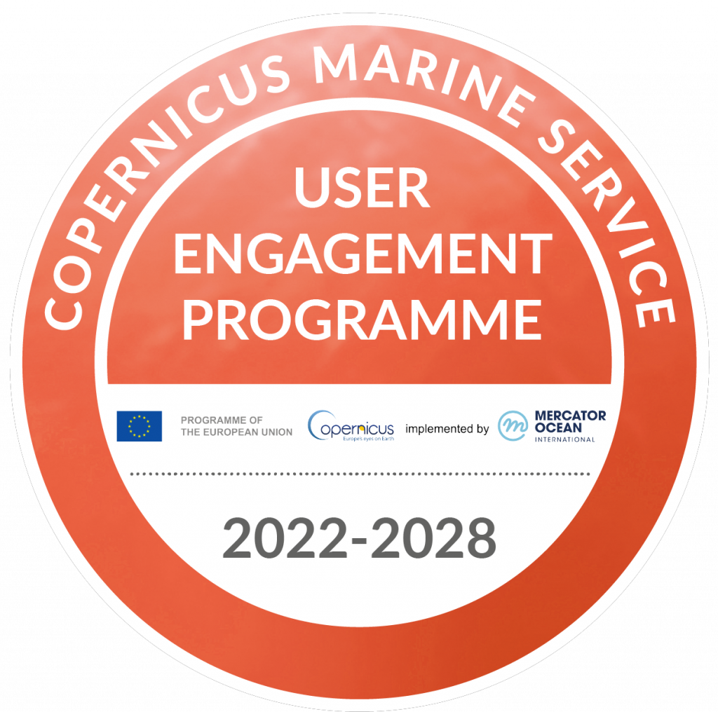copernicus marine service