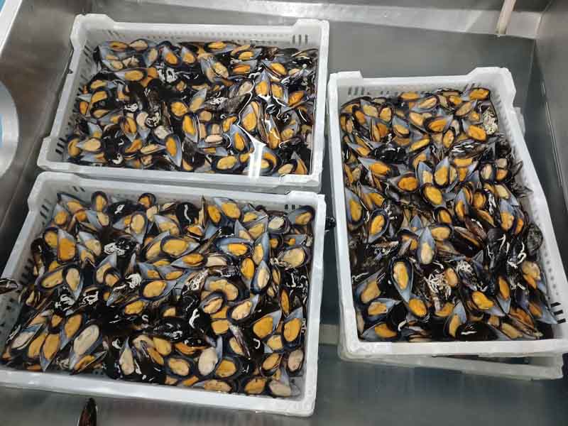 aguas_de_proceso_ mejillones