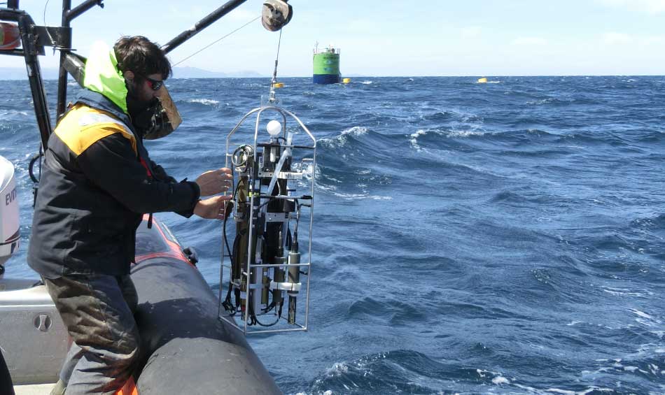 cambio climatico pesca