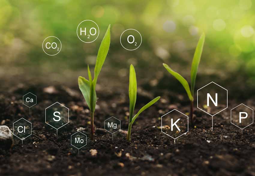 biomateriales