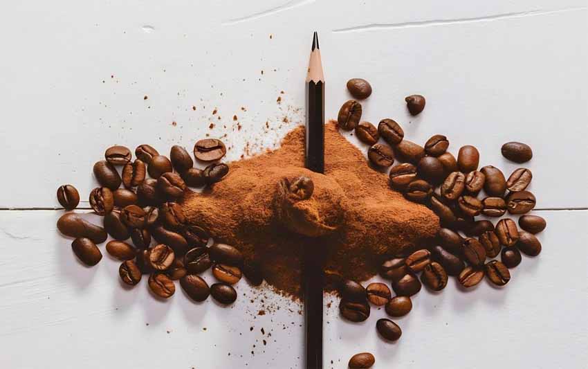 Alternativas saludables y sostenibles