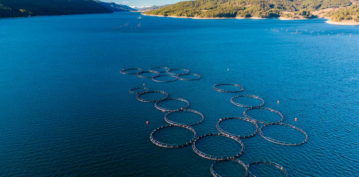 acuicultura_europea_SOSTENIBLE