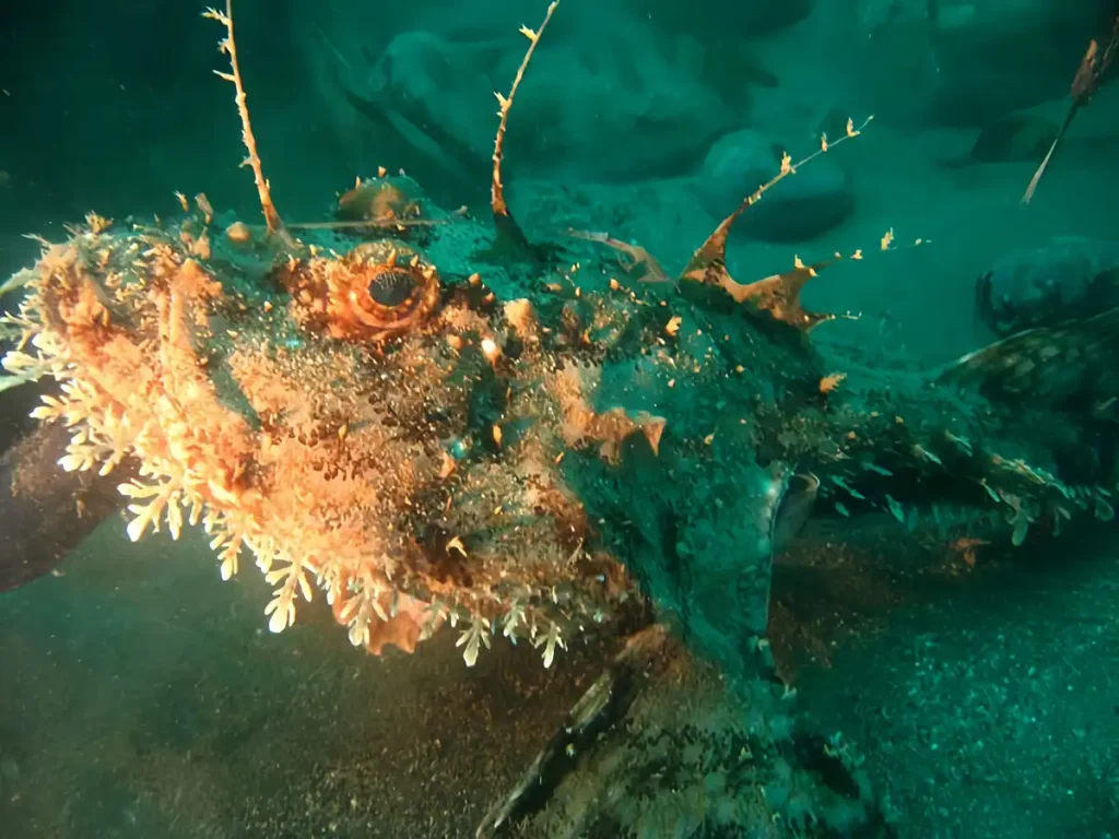 adaptacion-genetica-cambio-climatio