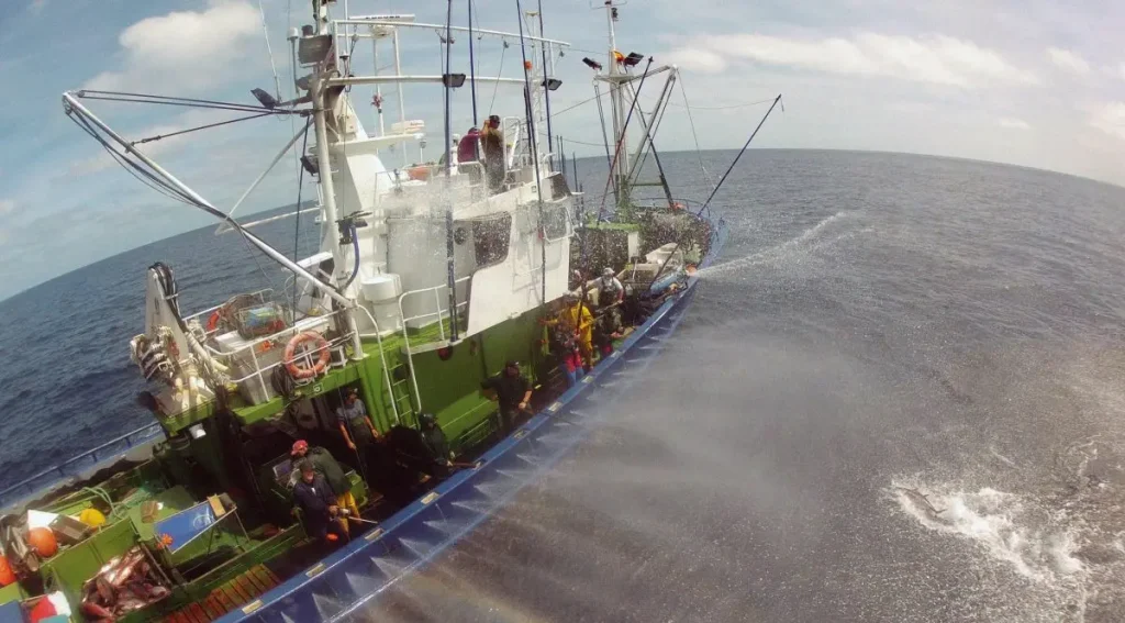 Evaluación climática stocks pesqueros