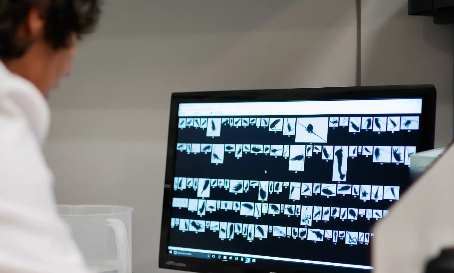 Marine and fishery biology Laboratories