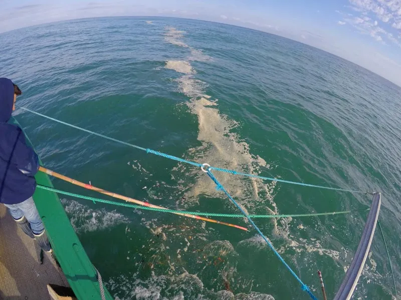 acciones de recogida de la basura marina en aguas costeras
