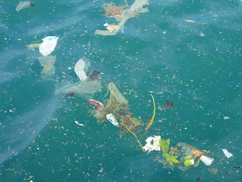 lineas de contaminacion marina