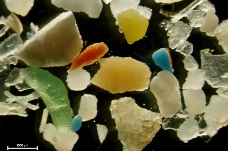 Microplasticos a escala