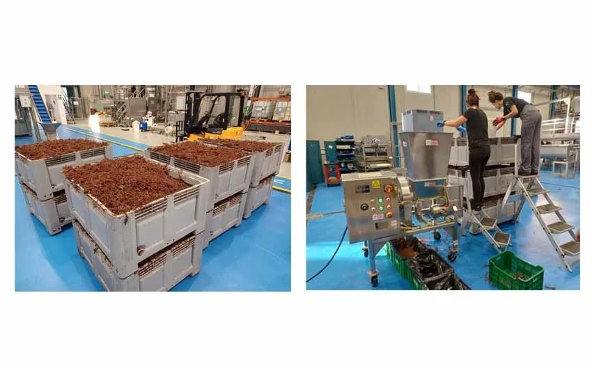 validaci&oacute;n escala industrial