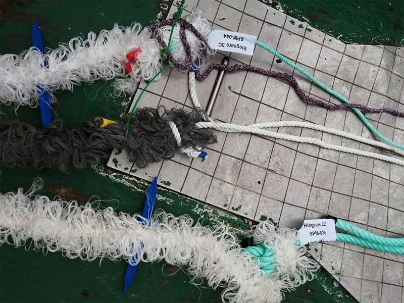 BIOGEARS_cuerdas_02_LOW