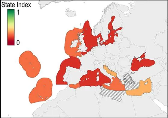 A collage of maps with different colored spots AI-generated content may be incorrect.