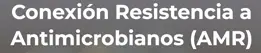 AMR. Conexión Resistencia Antimicrobianos