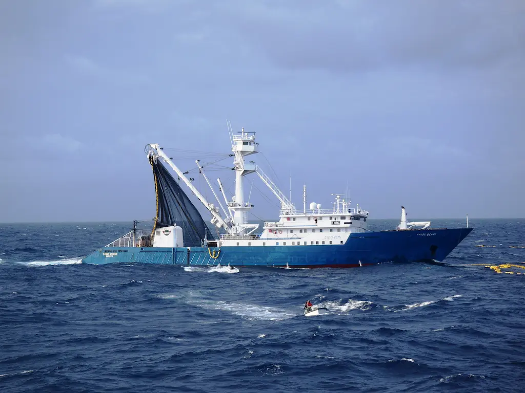 Protecicón de los océanos IA