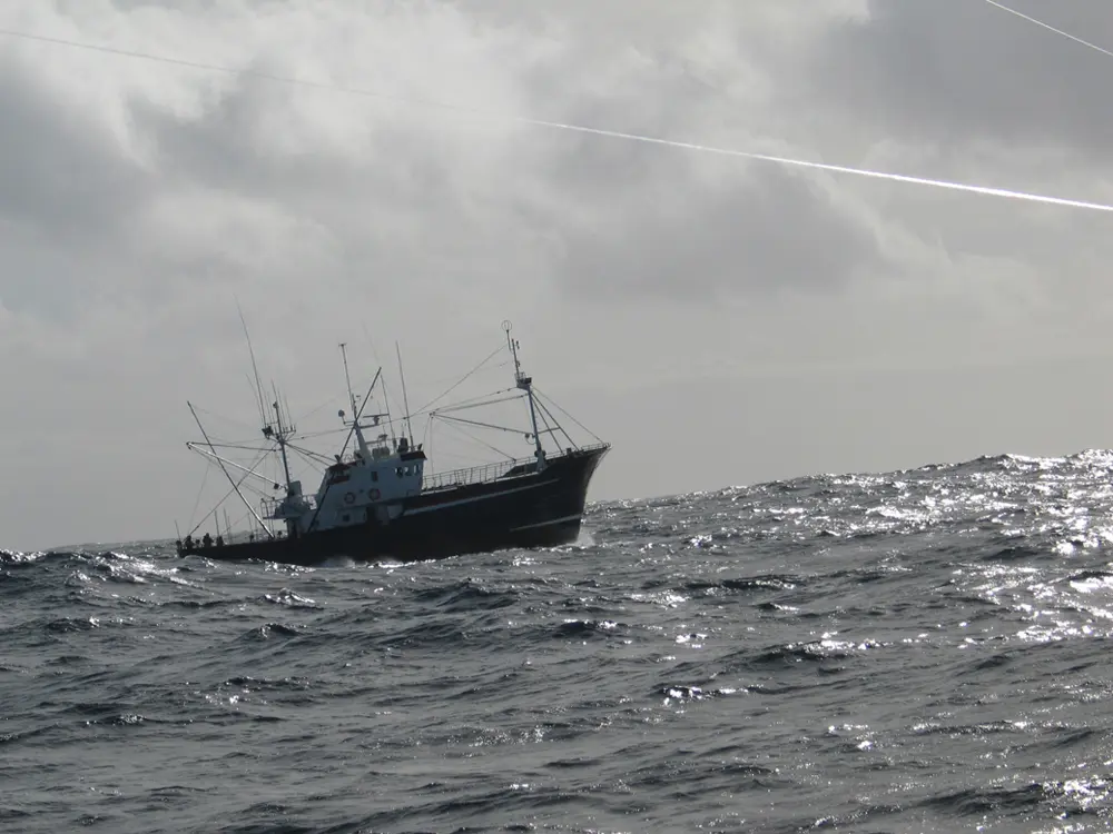 pesca_Atun