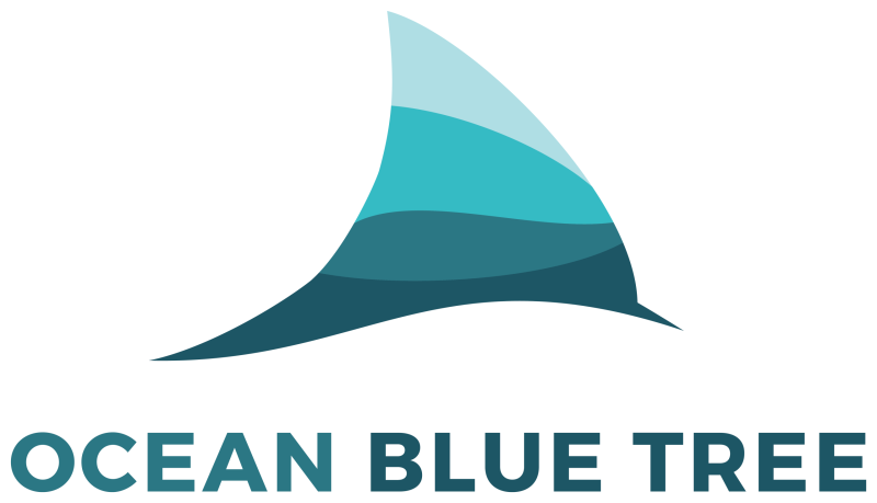 blue_shark_reproduction